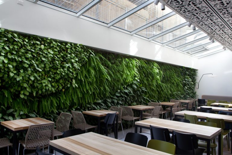 קירות ירוקים למשרדים פתרון מרגיע