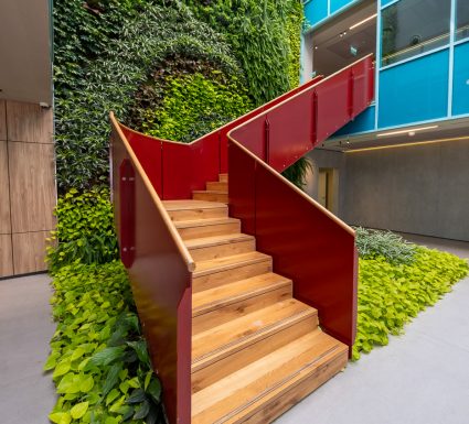 דקסל – אור עקיבה